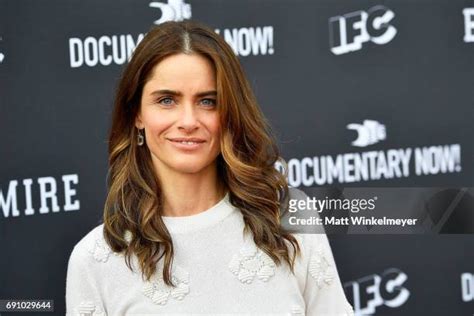 12.651 fotos e imagens de alta resolução de Amanda Peet